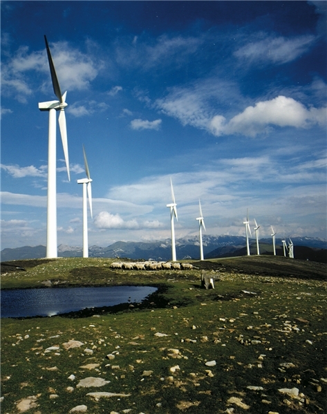 Euskadi alcanza cifras récord de inversión en autoconsumo tras registrar 7.000 solicitudes de ayuda