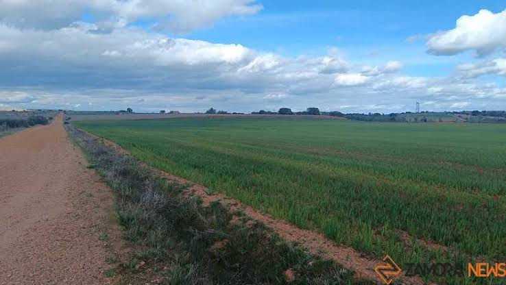 Solicitud de suspensión cautelar para proyectos de hidrógeno en Zamora por posible impacto ambiental